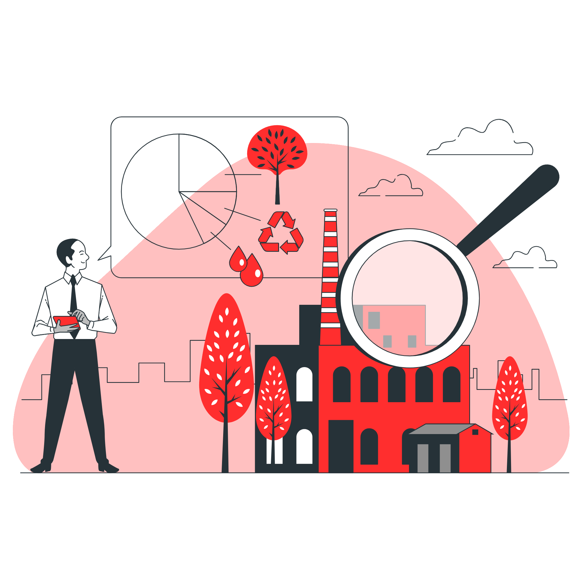 Environmental audit bro