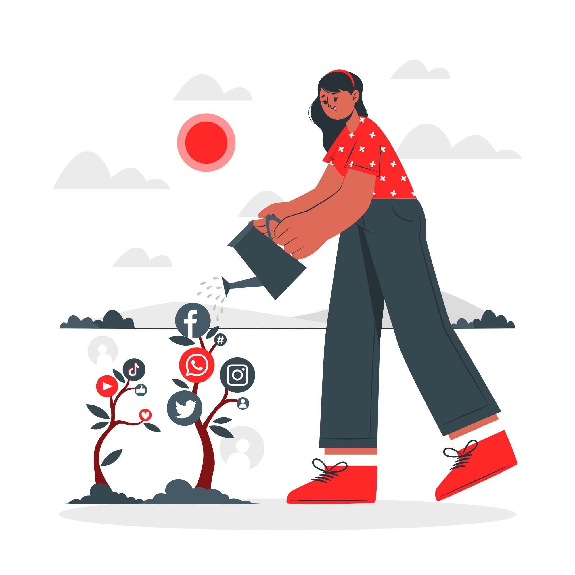 SMO Packages