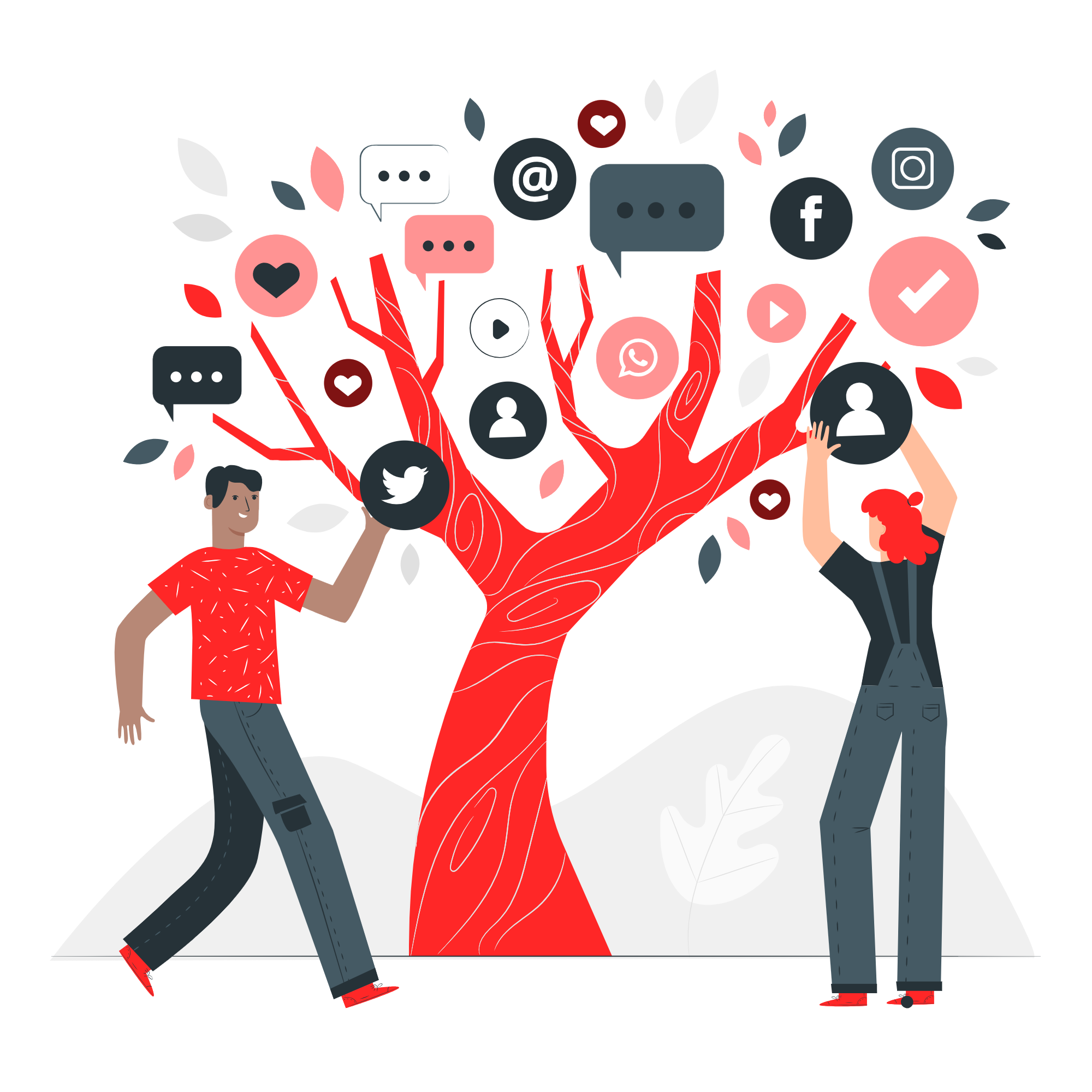 Social Media Management