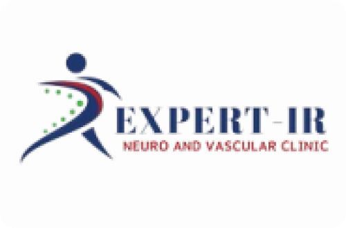 Expert IR