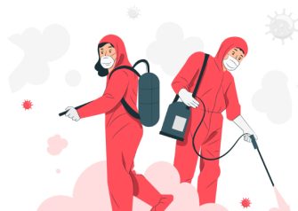 Pest Control SEO